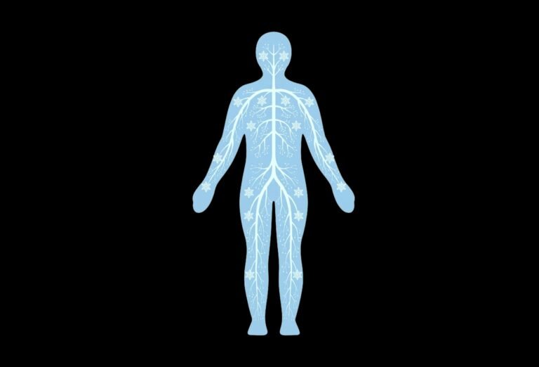 BodySync1